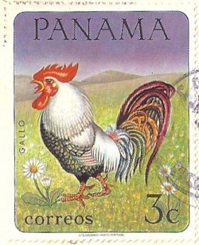 rooster on Panama stamp – Best Places In The World To Retire – International Living